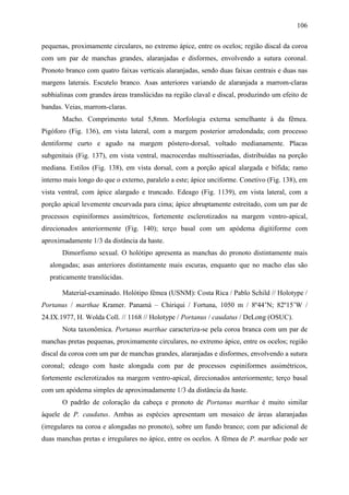 106

pequenas, proximamente circulares, no extremo ápice, entre os ocelos; região discal da coroa
com um par de manchas grandes, alaranjadas e disformes, envolvendo a sutura coronal.
Pronoto branco com quatro faixas verticais alaranjadas, sendo duas faixas centrais e duas nas
margens laterais. Escutelo branco. Asas anteriores variando de alaranjada a marrom-claras
subhialinas com grandes áreas translúcidas na região claval e discal, produzindo um efeito de
bandas. Veias, marrom-claras.
       Macho. Comprimento total 5,8mm. Morfologia externa semelhante à da fêmea.
Pigóforo (Fig. 136), em vista lateral, com a margem posterior arredondada; com processo
dentiforme curto e agudo na margem póstero-dorsal, voltado medianamente. Placas
subgenitais (Fig. 137), em vista ventral, macrocerdas multisseriadas, distribuídas na porção
mediana. Estilos (Fig. 138), em vista dorsal, com a porção apical alargada e bífida; ramo
interno mais longo do que o externo, paralelo a este; ápice unciforme. Conetivo (Fig. 138), em
vista ventral, com ápice alargado e truncado. Edeago (Fig. 1139), em vista lateral, com a
porção apical levemente encurvada para cima; ápice abruptamente estreitado, com um par de
processos espiniformes assimétricos, fortemente esclerotizados na margem ventro-apical,
direcionados anteriormente (Fig. 140); terço basal com um apódema digitiforme com
aproximadamente 1/3 da distância da haste.
       Dimorfismo sexual. O holótipo apresenta as manchas do pronoto distintamente mais
  alongadas; asas anteriores distintamente mais escuras, enquanto que no macho elas são
  praticamente translúcidas.

       Material-examinado. Holótipo fêmea (USNM): Costa Rica / Pablo Schild // Holotype /
Portanus / marthae Kramer. Panamá – Chiriqui / Fortuna, 1050 m / 8º44’N; 82º15’W /
24.IX.1977, H. Wolda Coll. // 1168 // Holotype / Portanus / caudatus / DeLong (OSUC).
       Nota taxonômica. Portanus marthae caracteriza-se pela coroa branca com um par de
manchas pretas pequenas, proximamente circulares, no extremo ápice, entre os ocelos; região
discal da coroa com um par de manchas grandes, alaranjadas e disformes, envolvendo a sutura
coronal; edeago com haste alongada com par de processos espiniformes assimétricos,
fortemente esclerotizados na margem ventro-apical, direcionados anteriormente; terço basal
com um apódema simples de aproximadamente 1/3 da distância da haste.
       O padrão de coloração da cabeça e pronoto de Portanus marthae é muito similar
àquele de P. caudatus. Ambas as espécies apresentam um mosaico de áreas alaranjadas
(irregulares na coroa e alongadas no pronoto), sobre um fundo branco; com par adicional de
duas manchas pretas e irregulares no ápice, entre os ocelos. A fêmea de P. marthae pode ser
 