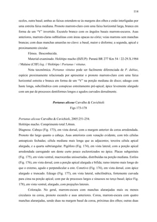 114

ocelos, outra basal; ambas as faixas estendem-se às margens dos olhos e estão interligadas por
uma estreita faixa mediana. Pronoto marrom-claro com uma faixa horizontal larga, branca em
forma de um “V” invertido. Escutelo branco com os ângulos basais marrom-escuros. Asas
anteriores, marrom-claras subhialinas com áreas opacas no cório; veias marrons sem manchas
brancas; com duas manchas amarelas no clavo: a basal, maior e disforme; a segunda, apical e
proximamente circular.
       Fêmea. Desconhecida.
       Material-examinado. Holótipo macho (DZUP): Paraná BR 277 Km 54 / 22-29.X.1984
/ Malaise (CIIF) leg. // Holótipo / Portanus / vittatus.
       Nota taxonômica. Portanus vittatus pode ser facilmente diferenciada de P. dubius,
espécie proximamente relacionada por apresentar o pronoto marrom-claro com uma faixa
horizontal estreita e branca em forma de um “V” na porção mediana do disco; edeago com
haste longa, subcilíndrica com conspícuo estreitamento pré-apical; ápice levemente alargado
com um par de processos dentiformes longos e agudos curvados dorsalmente.


                            Portanus aliceae Carvalho & Cavichioli
                                          Figs 173-178


Portanus aliceae Carvalho & Cavichioli, 2005:251-254.
Holótipo macho. Comprimento total 5,4mm.
Diagnose. Cabeça (Fig. 173), em vista dorsal, com a margem anterior da coroa arredondada.
Pronoto tão largo quanto a cabeça. Asas anteriores com venação evidente, com três células
anteapicais fechadas; célula mediana mais longa que as adjacentes; terceira célula apical
alargada, e a quarta subtriangular. Pigóforo (Fig. 174), em vista lateral, com a porção apical
arredondada carregando um dente curto pouco esclerotizados no ápice. Placas subgenitais
(Fig. 175), em vista ventral, macrocerdas unisseriadas, distribuídas na porção mediana. Estilos
(Fig. 176), em vista dorsal, com a porção apical alargada e bífida; ramo interno mais longo do
que o externo, agudo e perpendicular a este. Conetivo (Fig. 176), em vista dorsal, com ápice
alargado e truncado. Edeago (Fig. 177), em vista lateral, subcilíndrica, fortemente curvada
para cima na porção apical; com par de processos largos e sinuosos no terço basal; ápice Fig.
178), em vista ventral, alargado, com projeções laterais.
       Coloração. No geral, marrom-escura com manchas alaranjadas mais ou menos
circulares na coroa, pronoto escutelo e asas anteriores. Coroa, marrom-escura com quatro
manchas alaranjadas, sendo duas na margem basal da coroa, próximas dos olhos; outras duas
 