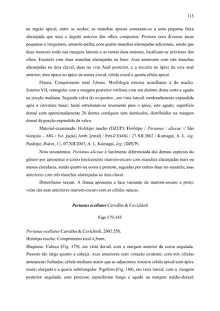115

na região apical, entre os ocelos; as manchas apicais conectam-se a uma pequena faixa
alaranjada que toca o ângulo anterior dos olhos compostos. Pronoto com diversas áreas
pequenas e irregulares, amarelo-palha; com quatro manchas alaranjadas adicionais, sendo que
duas menores estão nas margens laterais e as outras duas maiores, localizam-se próximas dos
olhos. Escutelo com duas manchas alaranjadas na base. Asas anteriores com três manchas
alaranjadas na área claval, duas na veia Anal posterior, e a terceira no ápice da veia anal
anterior; área opaca no ápice da sutura claval, célula costal e quarta célula apical.
       Fêmea. Comprimento total 5,6mm. Morfologia externa semelhante à do macho.
Esterno VII, retangular com a margem posterior retilínea com um distinto dente curto e agudo
na porção mediana. Segunda valva do ovipositor , em vista lateral, moderadamente expandida
após a curvatura basal; haste estreitando-se levemente para o ápice, este agudo; superfície
dorsal com aproximadamente 26 dentes contíguos sem dentículos, distribuídos na margem
dorsal da porção expandida da valva.
       Material-examinado. Holótipo macho (DZUP): Holótipo / Portanus / aliceae // São
Gonçalo – MG / Est. [ação] Amb. [ental] / Peti-CEMIG / 27.XII.2002 / Kumagai, A. L. leg.
Parátipo: Ibdem, 1♀, 07.XII.2003, A. L. Kumagai, leg. (DZUP).
       Nota taxonômica. Portanus aliceae é facilmente diferenciada das demais espécies do
gênero por apresentar o corpo inteiramente marrom-escuro com manchas alaranjadas mais ou
menos circulares, sendo quatro na coroa e pronoto, seguidas por outras duas no escutelo; asas
anteriores com três manchas alaranjadas na área claval.
       Dimorfismo sexual. A fêmea apresenta a face variando de marrom-escuro a preto;
veias das asas anteriores marrom-escuro com as células opacas.


                           Portanus ocellatus Carvalho & Cavichioli

                                          Figs 179-183


Portanus ocellatus Carvalho & Cavichioli, 2003:550.
Holótipo macho. Comprimento total 4,5mm.
Diagnose. Cabeça (Fig. 179), em vista dorsal, com a margem anterior da coroa angulada.
Pronoto tão largo quanto a cabeça. Asas anteriores com venação evidente; com três células
anteapicais fechadas; célula mediana maior que as adjacentes; terceira célula apical com ápice
muito alargado e a quarta subtriangular. Pigóforo (Fig. 180), em vista lateral, com a margem
posterior angulada; com processo espiniforme longo e agudo na margem médio-dorsal;
 