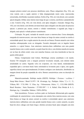 116

margem póstero-ventral com processo dentiforme curto. Placas subgenitais (Fig. 181), em
vista ventral, com a região anterior à linha despigmentada muito curta; macrocerdas
unisseriadas, distribuídas na porção mediana. Estilos (Fig. 182), em vista dorsal, com a porção
apical alargada e bífida; ramo interno mais longo do que o externo, unciforme e perpendicular
a este. Conetivo (Fig. 182), em vista dorsal, com ápice alargado e truncado. Edeago (Fig.
183), em vista lateral, com distinta curvatura basal; ápice alargado com dois pares de processo
apicais: o primeiro par, menor, estreito e voltado ventralmente; o segundo par, longo e
delgado, mais apical e voltado póstero-ventralmente.
       Coloração. No geral, variando de amarelo escuro a marrom-clara. Coroa alaranjada,
margeada de marrom-escuro; com uma faixa branca ao longo da sutura coronal ou restrita à
extremidade apical; face e região anterior da coroa de cor branca. Pronoto amarelo com várias
manchas esbranquiçadas ovais ou alongadas. Escutelo alaranjado com os ângulos basais
amarelos e o apical branco. Asas anteriores marrom-claras subhialinas com uma grande
mancha branca com o centro amarelo, na parte basal do clavo; com distinta mancha de mesma
cor na base da célula costal; veias com manchas brancas; com área translúcida na base da
quarta célula apical.
       Fêmea. Comprimento total 4,4mm. Morfologia externa semelhante à do macho.
Esterno VII retangular com a margem posterior levemente sinuada, com distinto dente
arredondado no centro. Segunda valva do ovipositor, em vista lateral, moderadamente
expandida após a curvatura basal; haste estreitando-se levemente para o ápice, este agudo;
superfície dorsal com aproximadamente 26 dentes contíguos com dentículos, distribuídos na
margem dorsal da porção expandida da valva. Demais características como na descrição do
gênero.
       Material-examinado. Holótipo macho (DZUP): Holótipo / Portanus / ocellatus //
Sinop Mato Grosso / Brasil X.1975 / M. Alvarenga, leg.. Parátipos. Ibdem, 7♂ e 1♀. 2♀,
Vilhena, RO / 17.X.1986 / C. Elias, leg. / Polonoroeste. Ibdem, 1♀, 13.X.1986 (DZUP).
Brasil Roraima / Serra Pacaraima / 27.VIII.1987 / J. A. Rafael, Elias Brinda & A. L.
Henrique, leg. // Armadilha / Malaise // INPA (INPA).
       Nota taxonômica. Portanus ocellatus pode ser facilmente diferenciada pela seguinte
combinação de características: coroa alaranjada com estreita faixa marrom-escura; com uma
faixa branca ao longo da sutura coronal ou restrita à extremidade apical; asas anteriores
marrom-claros subhialinas com uma grande mancha branca com o centro amarelo, na parte
basal do clavo; edeago com haste longa e distinta curvatura basal; ápice alargado com dois
 