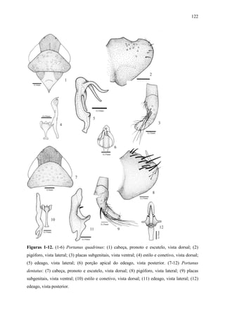 122




Figuras 1-12. (1-6) Portanus quadrinus: (1) cabeça, pronoto e escutelo, vista dorsal; (2)
pigóforo, vista lateral; (3) placas subgenitais, vista ventral; (4) estilo e conetivo, vista dorsal;
(5) edeago, vista lateral; (6) porção apical do edeago, vista posterior. (7-12) Portanus
dentatus: (7) cabeça, pronoto e escutelo, vista dorsal; (8) pigóforo, vista lateral; (9) placas
subgenitais, vista ventral; (10) estilo e conetivo, vista dorsal; (11) edeago, vista lateral; (12)
edeago, vista posterior.
 