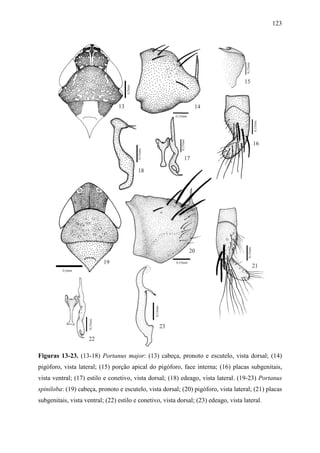 123




Figuras 13-23. (13-18) Portanus major: (13) cabeça, pronoto e escutelo, vista dorsal; (14)
pigóforo, vista lateral; (15) porção apical do pigóforo, face interna; (16) placas subgenitais,
vista ventral; (17) estilo e conetivo, vista dorsal; (18) edeago, vista lateral. (19-23) Portanus
spiniloba: (19) cabeça, pronoto e escutelo, vista dorsal; (20) pigóforo, vista lateral; (21) placas
subgenitais, vista ventral; (22) estilo e conetivo, vista dorsal; (23) edeago, vista lateral.
 