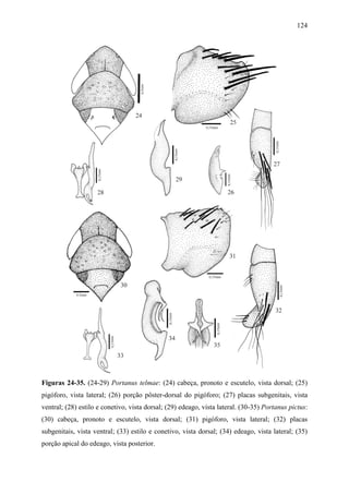 124




Figuras 24-35. (24-29) Portanus telmae: (24) cabeça, pronoto e escutelo, vista dorsal; (25)
pigóforo, vista lateral; (26) porção pôster-dorsal do pigóforo; (27) placas subgenitais, vista
ventral; (28) estilo e conetivo, vista dorsal; (29) edeago, vista lateral. (30-35) Portanus pictus:
(30) cabeça, pronoto e escutelo, vista dorsal; (31) pigóforo, vista lateral; (32) placas
subgenitais, vista ventral; (33) estilo e conetivo, vista dorsal; (34) edeago, vista lateral; (35)
porção apical do edeago, vista posterior.
 