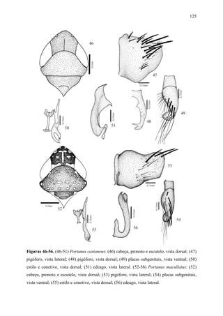 125




Figuras 46-56. (46-51) Portanus castaneus: (46) cabeça, pronoto e escutelo, vista dorsal; (47)
pigóforo, vista lateral; (48) pigóforo, vista dorsal; (49) placas subgenitais, vista ventral; (50)
estilo e conetivo, vista dorsal; (51) edeago, vista lateral. (52-56) Portanus macullatus: (52)
cabeça, pronoto e escutelo, vista dorsal; (53) pigóforo, vista lateral; (54) placas subgenitais,
vista ventral; (55) estilo e conetivo, vista dorsal; (56) edeago, vista lateral.
 