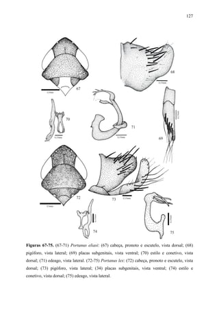 127




Figuras 67-75. (67-71) Portanus eliasi: (67) cabeça, pronoto e escutelo, vista dorsal; (68)
pigóforo, vista lateral; (69) placas subgenitais, vista ventral; (70) estilo e conetivo, vista
dorsal; (71) edeago, vista lateral. (72-75) Portanus lex: (72) cabeça, pronoto e escutelo, vista
dorsal; (73) pigóforo, vista lateral; (34) placas subgenitais, vista ventral; (74) estilo e
conetivo, vista dorsal; (75) edeago, vista lateral.
 