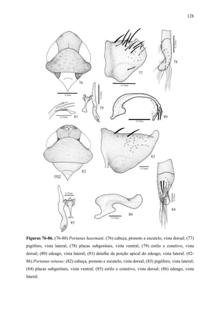 128




Figuras 76-86. (76-80) Portanus hasemani: (76) cabeça, pronoto e escutelo, vista dorsal; (77)
pigóforo, vista lateral; (78) placas subgenitais, vista ventral; (79) estilo e conetivo, vista
dorsal; (80) edeago, vista lateral; (81) detalhe da porção apical do edeago, vista lateral. (82-
86) Portanus retusus: (82) cabeça, pronoto e escutelo, vista dorsal; (83) pigóforo, vista lateral;
(84) placas subgenitais, vista ventral; (85) estilo e conetivo, vista dorsal; (86) edeago, vista
lateral.
 