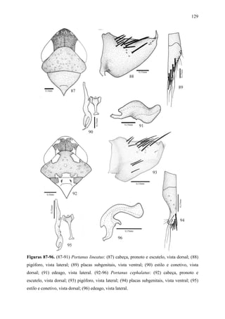 129




Figuras 87-96. (87-91) Portanus lineatus: (87) cabeça, pronoto e escutelo, vista dorsal; (88)
pigóforo, vista lateral; (89) placas subgenitais, vista ventral; (90) estilo e conetivo, vista
dorsal; (91) edeago, vista lateral. (92-96) Portanus cephalatus: (92) cabeça, pronoto e
escutelo, vista dorsal; (93) pigóforo, vista lateral; (94) placas subgenitais, vista ventral; (95)
estilo e conetivo, vista dorsal; (96) edeago, vista lateral.
 