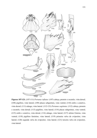 131




Figuras 107-121. (107-111) Portanus inflatus: (107) cabeça, pronoto e escutelo, vista dorsal;
(108) pigóforo, vista lateral; (109) placas subgenitais, vista ventral; (110) estilo e conetivo,
vista dorsal; (111) edeago, vista lateral. (112-121) Portanus sagittatus: (112) cabeça, pronoto
e escutelo, vista dorsal; (113) pigóforo, vista lateral; (114) placas subgenitais, vista ventral;
(115) estilo e conetivo, vista dorsal; (116) edeago, vista lateral; (117) sétimo Esterno, vista
ventral; (118) pigóforo feminino, vista lateral; (119) primeira valva do ovipositor, vista
lateral; (120) segunda valva do ovipositor, vista lateral; (121) terceira valva do ovipositor,
vista lateral.
 