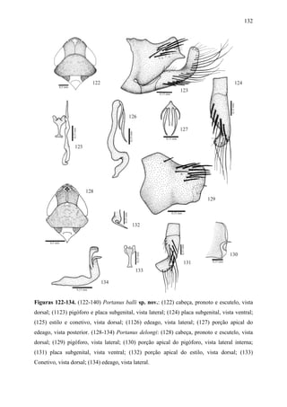 132




Figuras 122-134. (122-140) Portanus balli sp. nov.: (122) cabeça, pronoto e escutelo, vista
dorsal; (1123) pigóforo e placa subgenital, vista lateral; (124) placa subgenital, vista ventral;
(125) estilo e conetivo, vista dorsal; (1126) edeago, vista lateral; (127) porção apical do
edeago, vista posterior. (128-134) Portanus delongi: (128) cabeça, pronoto e escutelo, vista
dorsal; (129) pigóforo, vista lateral; (130) porção apical do pigóforo, vista lateral interna;
(131) placa subgenital, vista ventral; (132) porção apical do estilo, vista dorsal; (133)
Conetivo, vista dorsal; (134) edeago, vista lateral.
 