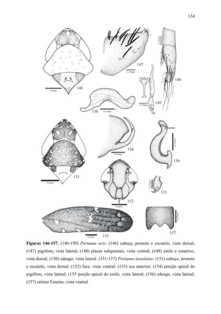 134




Figuras 146-157. (146-150) Portanus avis: (146) cabeça, pronoto e escutelo, vista dorsal;
(147) pigóforo, vista lateral; (148) placas subgenitais, vista ventral; (149) estilo e conetivo,
vista dorsal; (150) edeago, vista lateral. (151-157) Portanus tesselatus: (151) cabeça, pronoto
e escutelo, vista dorsal; (152) face, vista ventral; (153) asa anterior; (154) porção apical do
pigóforo, vista lateral; (155 porção apical do estilo, vista lateral; (156) edeago, vista lateral;
(157) sétimo Esterno, vista ventral.
 