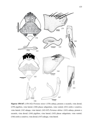 135




Figuras 158-167. (158-162) Portanus minor: (158) cabeça, pronoto e escutelo, vista dorsal;
(159) pigóforo, vista lateral; (160) placas subgenitais, vista ventral; (161) estilo e conetivo,
vista lateral; (162 edeago, vista lateral. (163-167) Portanus dubius: (163) cabeça, pronoto e
escutelo, vista dorsal; (164) pigóforo, vista lateral; (165) placas subgenitais, vista ventral;
(166) estilo e conetivo, vista dorsal; (167) edeago, vista lateral.
 