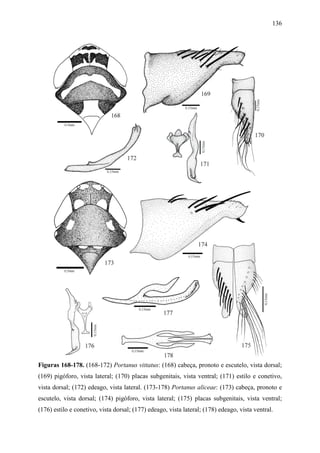136




Figuras 168-178. (168-172) Portanus vittatus: (168) cabeça, pronoto e escutelo, vista dorsal;
(169) pigóforo, vista lateral; (170) placas subgenitais, vista ventral; (171) estilo e conetivo,
vista dorsal; (172) edeago, vista lateral. (173-178) Portanus aliceae: (173) cabeça, pronoto e
escutelo, vista dorsal; (174) pigóforo, vista lateral; (175) placas subgenitais, vista ventral;
(176) estilo e conetivo, vista dorsal; (177) edeago, vista lateral; (178) edeago, vista ventral.
 