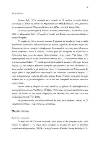 6

INTRODUÇÃO


       Portanus Ball, 1932 é composto, até o presente, por 52 espécies, ocorrendo desde a
Costa Rica e Antilhas até ao norte da Argentina (Uhler, 1895; Linnavuori, 1959), formando
um grupo exclusivamente Neotropical (Linnavuori, 1959 e Nielson & Knight, 2000).
       De acordo com Ball (1932), Portanus é similar, externamente, a Scaphoideus Uhler,
1889 e a Osbornellus Ball, 1932 quanto à venação alar, lóbulos supra-antenais oblíquos e
antenas alongadas.
       As espécies do gênero mostram marcante diversidade no tamanho do corpo e padrão
de coloração, sendo difícil o reconhecimento das mesmas. A genitália dos machos mostra uma
forma razoavelmente constante, variando pouco de uma espécie para outra, especialmente as
placas subgenitais, estilos e conetivo. Portanus pode ser distinguido de Scaphoideus e
Osbornellus, bem como dos demais Xestocephalinae (Xestocephalus Van Duzee, 1892;
Myrmecophryne Kirkald, 1906c; Matsumurana Distant, 1917, Aloxestocephalus Evans, 1973
e Ootacamundus Distant, 1918), pela seguinte combinação de caracteres: (1) corpo longo e
delgado, (2) face alongada, (3) fronte retangular com reentrância na altura das antenas, (4)
loros grandes, estendendo-se até ao ápice do clípeo, (5) antenas usualmente longas, quase tão
longas quanto o corpo, (6) lóbulos supra-antenais, em vista lateral, carenados e oblíquos, (7)
coroa triangularmente produzida, (8) sutura coronal longa, (9) estilos com ápice alargado,
bífido ou não e (10) placas subgenitais com ou sem uma linha pouco esclerosada transversa
no terço basal.
       Estudos sobre a filogenia no nível específico de gêneros de Xestocephalinae é
incipiente (Xestocephalus Van Duzee: CWIKLA, 1985), sendo inexistente para Portanus que
apenas foi tratado em um estudo filogenético dos Membracoidea com base em dados
moleculares (Dietrich et al., 2001).
       No presente estudo, uma análise cladística das espécies de Portanus, baseada em 53
caracteres morfológicos e de coloração, é apresentada.


Materiais e métodos


Espécimes estudados
       Os espécimes de Portanus estudados, assim como os dos grupos-externos, estão
listados no apêndice 1. As siglas abaixo designam as coleções nas quais os espécimes
estudados estão depositados: CMNH - Carnegie Museum of Natural History, Pittsburg, EUA;
 