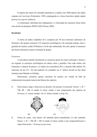 9

       O suporte dos ramos foi estimado repetindo-se a análise com 1000 réplicas dos dados
originais em bootstrap (Felsenstein, 1985), empregando-se a busca heurística rápida (opção
faststep via stepwise addition).
       A visualização, editoração dos cladogramas e a otimização de caracteres foram feitas
com auxílio do programa WINCLADA (Nixon, 2002).


Resultados


       A matriz de dados (Apêndice II) é composta por 50 taxa terminais (elementos de
Portanini e dos grupos externos) e 53 caracteres morfológicos e de coloração (cabeça, tórax e
genitália do macho), sendo 29 binários e 24 do tipo multiestado. Do total, apenas 4 caracteres
não foram informativos para a formação de grupos.


Caracteres
       A lista abaixo aborda inicialmente os caracteres gerais do corpo (coloração e forma) e
em seguida, os caracteres morfológicos da cabeça, tórax e genitália. Para cada caráter, são
fornecidos o número de passos e os índices de consistência (IC) e retenção (IR) obtidos. Os
caracteres de asa (19 - 26) não puderam ser estudados em P. inflatus devido ao fato desta
estrutura estar faltando no holótipo.
       Infelizmente, incluímos apenas caracteres de machos em virtude da falta de
conhecimento da grande maioria das fêmeas das espécies.


1.     Faixa branca, larga e transversa no pronoto: (0) ausente; (1) presente. Passos: 1, IC =
       100, IR = 100. O estado (1) desse caráter é uma sinapomorfia das espécies de
       Portanus, P. vittatus (estado - 0) e P. dubius (estado 1) (Fig. 01).




                     (0)                               (1)
2.     Forma do corpo, vista lateral: (0) achatada dorso-ventralmente; (1) não achatada.
       Passos: 1, IC = 100, IR = 100. O estado (1) desse caráter é uma sinapomorfia para o
       clado Osbornellus + Portanus (sensu lato).
 