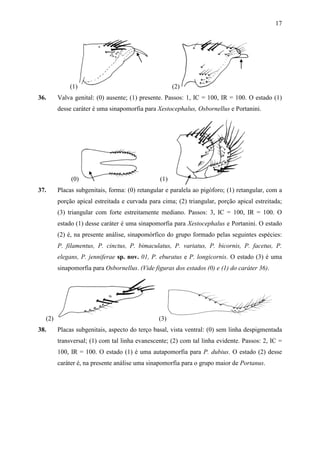 17




            (1)                                      (2)
36.     Valva genital: (0) ausente; (1) presente. Passos: 1, IC = 100, IR = 100. O estado (1)
        desse caráter é uma sinapomorfia para Xestocephalus, Osbornellus e Portanini.




             (0)                               (1)
37.     Placas subgenitais, forma: (0) retangular e paralela ao pigóforo; (1) retangular, com a
        porção apical estreitada e curvada para cima; (2) triangular, porção apical estreitada;
        (3) triangular com forte estreitamente mediano. Passos: 3, IC = 100, IR = 100. O
        estado (1) desse caráter é uma sinapomorfia para Xestocephalus e Portanini. O estado
        (2) é, na presente análise, sinapomórfico do grupo formado pelas seguintes espécies:
        P. filamentus, P. cinctus, P. bimaculatus, P. variatus, P. bicornis, P. facetus, P.
        elegans, P. jenniferae sp. nov. 01, P. eburatus e P. longicornis. O estado (3) é uma
        sinapomorfia para Osbornellus. (Vide figuras dos estados (0) e (1) do caráter 36).




  (2)                                          (3)
38.     Placas subgenitais, aspecto do terço basal, vista ventral: (0) sem linha despigmentada
        transversal; (1) com tal linha evanescente; (2) com tal linha evidente. Passos: 2, IC =
        100, IR = 100. O estado (1) é uma autapomorfia para P. dubius. O estado (2) desse
        caráter é, na presente análise uma sinapomorfia para o grupo maior de Portanus.
 