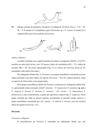 22




                             (1)
53.    Edeago, posição do gonóporo: (0) apical; (1) subapical; (2) basal. Passos: 3, IC = 66,
       IR = 0. O estado (1) é homplástico para Osbornellus sp. e P. mariae. O estado (2) é
       autapomórfico para Xestocephalus desertorum.




          (0)                            (1)                          (2)


Análise cladística
       A análise realizada com a opção heurística de ambos os programas (NONA e PAUP*),
resultou em uma única árvore, com 123 passos, índice de consistência (IC) = 75 e índice de
retenção (IR) = 88. Na árvore apresentada (Fig. 1), os valores de bootstrap acima de 50,
assinalados estão abaixo dos ramos.
       No cladograma obtido (Fig. 1), Portanus é um grupo monofilético constituído por dois
clados principais com altos índices de suporte (bootstrap = 70 e 85, respectivamente), tendo
as espécies de Osbornellus como grupo-irmão.
       Dois grupos monofiléticos dentro de Portanus se destacam no cladograma obtido (Fig.
1), apresentando ótima resolução: (((((((P. eburatus + P. longicornis) P. jenniferae sp. nov.)
P. elegans) P. facetus) P. bicornis) P. variatus) + ((P. cinctus + P. bimaculatus) P.
filamentus)) e, mais evidentemente, o grupo que apresenta a espécie-tipo, P. stigmosus. Nesse
grupo, formado por todas as demais espécies consideradas no presente estudo, desta-se o
grupo monofilético constituído por: ((P. vittatus + P. dubius) P. aliceae), com um razoável
índice de suporte (bootstrap = 61).


Discussão


Caracteres e filogenia
       O monofiletismo de Portanus é sustentado no cladograma obtido, por oito
 