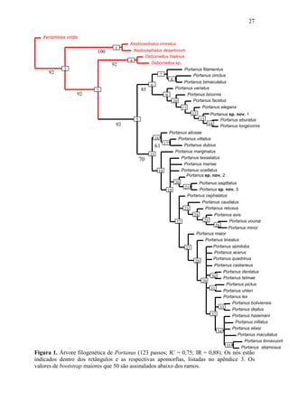 27

   Xerophloea viridis
                                       Xestocephalus irroratus
                                 1
                         100             Xestocephalus desertorum
                                              Osbornellus hialinus
                                       4
                               92                Osbornellus sp.
             2                                                     Portanus filamentus
      92                                             7                 Portanus cinctus
                                                           8
                                                                  Portanus bimaculatus
                                                 6
                         3                  85                Portanus variatus
                    92                                   9          Portanus bicornis
                                                             10        Portanus facetus
                                                                    11          Portanus elegans
                                                                          12         Portanus sp. nov. 1
                                         5                                     13         Portanus eburatus
                                 92                                                 14
                                                                                          Portanus longicornis
                                                            Portanus aliceae
                                                    16          Portanus vittatus
                                                         17        Portanus dubius
                                                     61
                                                              Portanus marginatus
                                                  15
                                             70                   Portanus tesselatus
                                                                   Portanus mariae
                                                      18          Portanus ocellatus
                                                                    Portanus sp. nov. 2
                                                               20         Portanus sagittatus
                                                                     21   Portanus sp. nov. 3
                                                          19
                                                                    Portanus cephalatus
                                                                           Portanus caudatus
                                                                  23         Portanus retusus
                                                                       24         Portanus avis
                                                               22            25           Portanus youngi
                                                                                   26
                                                                                          Portanus minor
                                                                         Portanus major
                                                                             Portanus lineatus
                                                                   27            Portanus spiniloba
                                                                                  Portanus acerus
                                                                                 Portanus quadrinus
                                                                        28
                                                                                  Portanus castaneus
                                                                                        Portanus dentatus
                                                                                30      Portanus telmae
                                                                           29
                                                                                         Portanus pictus
                                                                                31
                                                                                        Portanus uhleri
                                                                                        Portanus lex
                                                                                            Portanus boliviensis
                                                                                      33    Portanus digitus
                                                                                32          Portanus hasemani
                                                                                              Portanus inflatus
                                                                                            Portanus eliasi
                                                                                    34
                                                                                               Portanus macullatus
                                                                                                   Portanus linnavuorii
                                                                                         35     Portanus stigmosus
Figura 1. Árvore filogenética de Portanus (123 passos; IC = 0,75; IR = 0,88). Os nós estão
indicados dentro dos retângulos e as respectivas apomorfias, listadas no apêndice 3. Os
valores de bootstrap maiores que 50 são assinalados abaixo dos ramos.
 