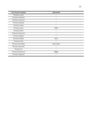 35

Nós/Táxons terminais    Apomorfias
   Portanus acerus           -
 Portanus quadrinus          -
 Portanus castaneus          -
  Portanus dentatus          -
   Portanus telmae           -
   Portanus pictus         30(0)
   Portanus uhleri           -
 Portanus boliviensis        -
   Portanus digitus          -
  Portanus inflatus        32(1)
   Portanus eliasi           -
 Portanus macullatus    33(1), 46(1)
 Portanus hasemani           -
    Portanus lex             -
 Portanus linnavuorii      51(2)
 Portanus stigmosus          -
 