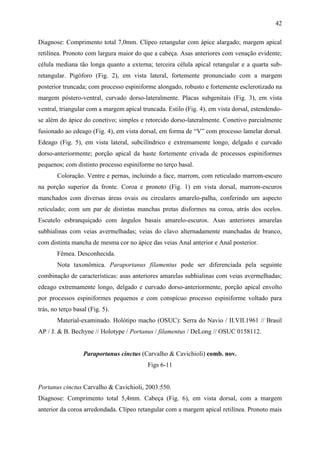 42

Diagnose: Comprimento total 7,0mm. Clípeo retangular com ápice alargado; margem apical
retilínea. Pronoto com largura maior do que a cabeça. Asas anteriores com venação evidente;
célula mediana tão longa quanto a externa; terceira célula apical retangular e a quarta sub-
retangular. Pigóforo (Fig. 2), em vista lateral, fortemente pronunciado com a margem
posterior truncada; com processo espiniforme alongado, robusto e fortemente esclerotizado na
margem póstero-ventral, curvado dorso-lateralmente. Placas subgenitais (Fig. 3), em vista
ventral, triangular com a margem apical truncada. Estilo (Fig. 4), em vista dorsal, estendendo-
se além do ápice do conetivo; simples e retorcido dorso-lateralmente. Conetivo parcialmente
fusionado ao edeago (Fig. 4), em vista dorsal, em forma de “V” com processo lamelar dorsal.
Edeago (Fig. 5), em vista lateral, subcilíndrico e extremamente longo, delgado e curvado
dorso-anteriormente; porção apical da haste fortemente crivada de processos espiniformes
pequenos; com distinto processo espiniforme no terço basal.
        Coloração. Ventre e pernas, incluindo a face, marrom, com reticulado marrom-escuro
na porção superior da fronte. Coroa e pronoto (Fig. 1) em vista dorsal, marrom-escuros
manchados com diversas áreas ovais ou circulares amarelo-palha, conferindo um aspecto
reticulado; com um par de distintas manchas pretas disformes na coroa, atrás dos ocelos.
Escutelo esbranquiçado com ângulos basais amarelo-escuros. Asas anteriores amarelas
subhialinas com veias avermelhadas; veias do clavo alternadamente manchadas de branco,
com distinta mancha de mesma cor no ápice das veias Anal anterior e Anal posterior.
        Fêmea. Desconhecida.
        Nota taxonômica. Paraportanus filamentus pode ser diferenciada pela seguinte
combinação de características: asas anteriores amarelas subhialinas com veias avermelhadas;
edeago extremamente longo, delgado e curvado dorso-anteriormente, porção apical envolto
por processos espiniformes pequenos e com conspícuo processo espiniforme voltado para
trás, no terço basal (Fig. 5).
        Material-examinado. Holótipo macho (OSUC): Serra do Navio / II.VII.1961 // Brasil
AP / J. & B. Bechyne // Holotype / Portanus / filamentus / DeLong // OSUC 0158112.


                   Paraportanus cinctus (Carvalho & Cavichioli) comb. nov.
                                          Figs 6-11


Portanus cinctus Carvalho & Cavichioli, 2003:550.
Diagnose: Comprimento total 5,4mm. Cabeça (Fig. 6), em vista dorsal, com a margem
anterior da coroa arredondada. Clípeo retangular com a margem apical retilínea. Pronoto mais
 