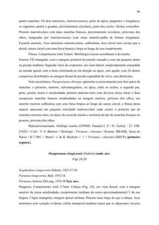 46

quatro manchas. Os dois anteriores, marrom-escuros, perto do ápice, pequenos e irregulares;
os seguintes, pretos e grandes, proximamente circulares, junto dos ocelos. Ocelos vermelhos.
Pronoto marrom-claro com duas manchas brancas, proximamente circulares, próximas dos
olhos, margeadas por marrom-escuro; com áreas amarelo-palha de formas irregulares.
Escutelo amarelo. Asas anteriores marrom-claras, subhialinas; área claval mais escura que a
discal; sutura claval com uma faixa branca e larga ao longo do seu comprimento.
       Fêmea. Comprimento total 5,6mm. Morfologia externa semelhante à do macho.
Esterno VII retangular, com a margem posterior levemente sinuada e com um pequeno dente
na porção mediana. Segunda valva do ovipositor, em vista lateral, moderadamente expandida
na metade apical; com a haste estreitando-se em direção ao ápice, este agudo; com 26 dentes
conspícuos distribuídos na margem dorsal da porção expandida da valva, sem dentículos.
       Nota taxonômica. Paraportanus eburatus apresenta a coroa amarela com dois pares de
manchas: o primeiro, marrom, sub-retangulares, no ápice, entre os ocelos, o segundo par,
preto, porém, maior e arredondada; pronoto marrom-claro com diversas áreas claras e duas
conspícuas manchas brancas arredondadas na margem anterior, próximo dos olhos; asa
anterior marrom subhialina com uma faixa branca ao longo da sutura claval; a fêmea desta
espécie apresenta um pequeno reticulado marrom-claro onde ocorre o primeiro par de
manchas marrom-claro, no ápice da coroa do macho e ausência do par de manchas brancas no
pronoto, próximo dos olhos.
       Material-examinado. Holótipo macho (USNM): Panamá C Z / Ft. Gulick / 22. VIII.
[19]52 // Coll. / F. S. Blanton // Holotype / Portanus / eburatus / Kramer. BRASIL. Serra do
Navio / II.7.1961 // Brasil / J. & B. Bechyne // ♀ // Portanus / eburatus (DZUP) (primeiro
registro).


                      Paraportanus longicornis (Osborn) comb. nov.
                                         Figs 24-29


Scaphoideus longicornis Osborn, 1923:37-38.
Portanus longicornis; Ball, 1932:18.
Portanus chelatus DeLong, 1976:38 Syn. nov..
Diagnose. Comprimento total 5,7mm. Cabeça (Fig. 24), em vista dorsal, com a margem
anterior da coroa arredondada; comprimento mediano da coroa aproximadamente1/3 da sua
largura. Clípeo retangular; margem apical retilínea. Pronoto mais largo do que a cabeça. Asas
anteriores com venação evidente; célula anteapical mediana maior que as adjacentes; terceira
 
