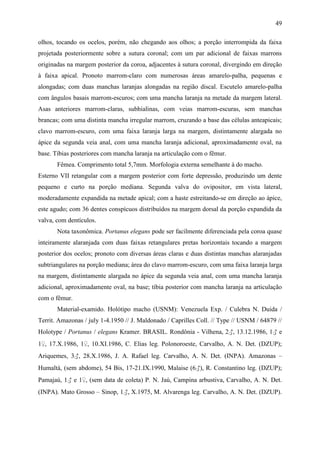 49

olhos, tocando os ocelos, porém, não chegando aos olhos; a porção interrompida da faixa
projetada posteriormente sobre a sutura coronal; com um par adicional de faixas marrons
originadas na margem posterior da coroa, adjacentes à sutura coronal, divergindo em direção
à faixa apical. Pronoto marrom-claro com numerosas áreas amarelo-palha, pequenas e
alongadas; com duas manchas laranjas alongadas na região discal. Escutelo amarelo-palha
com ângulos basais marrom-escuros; com uma mancha laranja na metade da margem lateral.
Asas anteriores marrom-claras, subhialinas, com veias marrom-escuras, sem manchas
brancas; com uma distinta mancha irregular marrom, cruzando a base das células anteapicais;
clavo marrom-escuro, com uma faixa laranja larga na margem, distintamente alargada no
ápice da segunda veia anal, com uma mancha laranja adicional, aproximadamente oval, na
base. Tíbias posteriores com mancha laranja na articulação com o fêmur.
       Fêmea. Comprimento total 5,7mm. Morfologia externa semelhante à do macho.
Esterno VII retangular com a margem posterior com forte depressão, produzindo um dente
pequeno e curto na porção mediana. Segunda valva do ovipositor, em vista lateral,
moderadamente expandida na metade apical; com a haste estreitando-se em direção ao ápice,
este agudo; com 36 dentes conspícuos distribuídos na margem dorsal da porção expandida da
valva, com dentículos.
       Nota taxonômica. Portanus elegans pode ser facilmente diferenciada pela coroa quase
inteiramente alaranjada com duas faixas retangulares pretas horizontais tocando a margem
posterior dos ocelos; pronoto com diversas áreas claras e duas distintas manchas alaranjadas
subtriangulares na porção mediana; área do clavo marrom-escuro, com uma faixa laranja larga
na margem, distintamente alargada no ápice da segunda veia anal, com uma mancha laranja
adicional, aproximadamente oval, na base; tíbia posterior com mancha laranja na articulação
com o fêmur.
       Material-examido. Holótipo macho (USNM): Venezuela Exp. / Culebra N. Duida /
Territ. Amazonas / july 1-4.1950 // J. Maldonado / Caprilles Coll. // Type // USNM / 64879 //
Holotype / Portanus / elegans Kramer. BRASIL. Rondônia - Vilhena, 2♂, 13.12.1986, 1♂ e
1♀, 17.X.1986, 1♀, 10.XI.1986, C. Elias leg. Polonoroeste, Carvalho, A. N. Det. (DZUP);
Ariquemes, 3♂, 28.X.1986, J. A. Rafael leg. Carvalho, A. N. Det. (INPA). Amazonas –
Humaltá, (sem abdome), 54 Bis, 17-21.IX.1990, Malaise (6♂), R. Constantino leg. (DZUP);
Pamajaú, 1♂ e 1♀, (sem data de coleta) P. N. Jaú, Campina arbustiva, Carvalho, A. N. Det.
(INPA). Mato Grosso – Sinop, 1♂, X.1975, M. Alvarenga leg. Carvalho, A. N. Det. (DZUP).
 