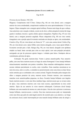 52

                        Paraportanus facetus (Kramer) comb. nov.

                                         Figs 46-50


Portanus facetus Kramer, 1961:236.
Diagnose. Comprimento total 5,7mm. Cabeça (Fig. 46) em vista dorsal, com a margem
anterior da coroa arredondada; comprimento mediano da coroa aproximadamente 1/3 da sua
largura. Clípeo retangular com a margem apical retilínea. Pronoto mais largo do que a cabeça.
Asas anteriores com venação evidente, exceto às do clavo; célula anteapical externa tão longa
quanto à mediana; terceira e quarta células apicais retangulares. Pigóforo (Fig. 47) em vista
lateral, com a margem posterior angulada. Placas subgenitais (Fig. 48) em vista ventral,
triangulares com a porção apical levemente estreitada em direção ao ápice, este arredondado.
Conetivo (Fig. 49) em vista dorsal, em forma de “V”, com uma carena dorsal. Estilos (Fig.
49), em vista dorsal, com o ápice bífido; ramo interno alongado, com o terço apical afilado e
levemente curvado para o lado. Edeago (Fig. 50), em vista lateral, alongado com apódema
simples na basal; haste curvada para cima no terço apical, com uma projeção pré-apical,
carregando um par de processos apicais longos e voltados para baixo. Gonóporo abre-se
ventralmente, próximo do ápice.
       Coloração. No geral, marrom-clara. Ventre e pernas amarelo-palha. Face amarelo-
palha, com uma faixa marrom-escura ao longo da sutura frontogenal. Coroa laranja brilhante
minuciosamente manchada com pontos vermelhos. Duas manchas subtriangulares marrom-
escuras rodeiam parcialmente os ocelos, estes vermelhos. Estas manchas encontram-se no
meio da coroa, entre os ocelos, e estendem-se posteriormente como uma única ou duas faixas
muito estreitas que se confundem com a sutura coronal. Ângulos formados pelas margens dos
olhos e margem posterior da coroa, marrom escuro. Pronoto marrom, com numerosas
manchas ovais amarelo-palhas pequenas, no disco. Escutelo laranja brilhante com ângulos
basais marrom-escuros e com uma faixa mediana larga, marrom-escura que se esvaece antes
do ápice. Asas anteriores marrons com veias mais escuras, especialmente na área costal
anterior. Ápice da asa anterior às vezes marrom esfumaçado. Comissura claval laranja
brilhante com uma mancha de mesma cor, antes do ápice. Área do clavo próximo à comissura
laranja brilhante, marrom-escura e estreita. Esta área marrom-escura pode ser interpretada
como uma faixa que parte de cada ângulo anterior do escutelo para a asa anterior, e ao longo
da comissura claval, sendo interrompida por uma mancha laranja brilhante antes de atingir o
 