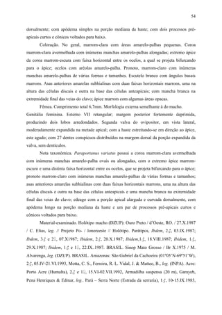 54

dorsalmente; com apódema simples na porção mediana da haste; com dois processos pré-
apicais curtos e cônicos voltados para baixo.
       Coloração. No geral, marrom-clara com áreas amarelo-palhas pequenas. Coroa
marrom-clara avermelhada com inúmeras manchas amarelo-palhas alongadas; extremo ápice
da coroa marrom-escura com faixa horizontal entre os ocelos, a qual se projeta bifurcando
para o ápice; ocelos com aréolas amarelo-palha. Pronoto, marrom-claro com inúmeras
manchas amarelo-palhas de várias formas e tamanhos. Escutelo branco com ângulos basais
marrons. Asas anteriores amarelas subhialinas com duas faixas horizontais marrons, uma na
altura das células discais e outra na base das células anteapicais; com mancha branca na
extremidade final das veias do clavo; ápice marrom com algumas áreas opacas.
       Fêmea. Comprimento total 6,7mm. Morfologia externa semelhante à do macho.
Genitália feminina. Esterno VII retangular; margem posterior fortemente deprimida,
produzindo dois lobos arredondados. Segunda valva do ovipositor, em vista lateral,
moderadamente expandida na metade apical; com a haste estreitando-se em direção ao ápice,
este agudo; com 27 dentes conspícuos distribuídos na margem dorsal da porção expandida da
valva, sem dentículos.
       Nota taxonômica. Paraportanus variatus possui a coroa marrom-clara avermelhada
com inúmeras manchas amarelo-palha ovais ou alongadas, com o extremo ápice marrom-
escuro e uma distinta faixa horizontal entre os ocelos, que se projeta bifurcando para o ápice;
pronoto marrom-claro com inúmeras manchas amarelo-palhas de várias formas e tamanhos;
asas anteriores amarelas subhialinas com duas faixas horizontais marrons, uma na altura das
células discais e outra na base das células anteapicais e uma mancha branca na extremidade
final das veias do clavo; edeago com a porção apical alargada e curvada dorsalmente, com
apódema longo na porção mediana da haste e um par de processos pré-apicais curtos e
cônicos voltados para baixo.
       Material-examinado. Holótipo macho (DZUP): Ouro Preto / d’Oeste, RO. / 27.X.1987
/ C. Elias, leg. // Projeto Po- / lonoroeste // Holótipo. Parátipos, Ibdem, 2♂, 03.IX.1987;
Ibdem, 3♂ e 2♀, 07.X1987; Ibidem, 2♂, 20.X.1987; Ibidem,1♂, 18.VIII.1987; Ibidem, 1♂,
29.X.1987; Ibidem, 1♂ e 1♀, 22.IX..1987. BRASIL. Sinop Mato Grosso / Br X.1975 / M.
Alvarenga, leg. (DZUP). BRASIL. Amazonas: São Gabriel da Cachoeira (01º05’N-69º51’W),
2♂, 05.IV-21.VI.1993, Motta, C. S., Ferreira, R. L. Vidal, J. & Matteo, B., leg. (INPA). Acre:
Porto Acre (Humalta), 2♂ e 1♀, 15.VI-02.VII.1992, Armadilha suspensa (20 m), Garayeb,
Pena Henriques & Edmar, leg.. Pará – Serra Norte (Estrada da serraria), 1♂, 10-15.IX.1983,
 