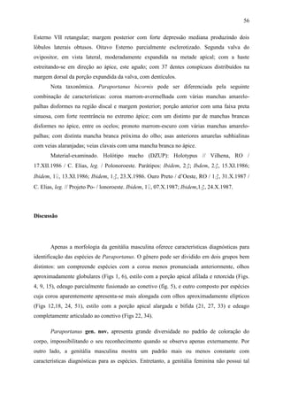 56

Esterno VII retangular; margem posterior com forte depressão mediana produzindo dois
lóbulos laterais obtusos. Oitavo Esterno parcialmente esclerotizado. Segunda valva do
ovipositor, em vista lateral, moderadamente expandida na metade apical; com a haste
estreitando-se em direção ao ápice, este agudo; com 37 dentes conspícuos distribuídos na
margem dorsal da porção expandida da valva, com dentículos.
       Nota taxonômica. Paraportanus bicornis pode ser diferenciada pela seguinte
combinação de características: coroa marrom-avermelhada com várias manchas amarelo-
palhas disformes na região discal e margem posterior; porção anterior com uma faixa preta
sinuosa, com forte reentrância no extremo ápice; com um distinto par de manchas brancas
disformes no ápice, entre os ocelos; pronoto marrom-escuro com várias manchas amarelo-
palhas; com distinta mancha branca próxima do olho; asas anteriores amarelas subhialinas
com veias alaranjadas; veias clavais com uma mancha branca no ápice.
       Material-examinado. Holótipo macho (DZUP): Holotypus // Vilhena, RO /
17.XII.1986 / C. Elias, leg. / Polonoroeste. Parátipos: Ibidem, 2♂; Ibdem, 2♂, 15.XI.1986;
Ibidem, 1♀, 13.XI.1986; Ibidem, 1♂, 23.X.1986. Ouro Preto / d’Oeste, RO / 1♂, 31.X.1987 /
C. Elias, leg. // Projeto Po- / lonoroeste. Ibidem, 1♀, 07.X.1987; Ibidem,1♂, 24.X.1987.




Discussão




       Apenas a morfologia da genitália masculina oferece características diagnósticas para
identificação das espécies de Paraportanus. O gênero pode ser dividido em dois grupos bem
distintos: um compreende espécies com a coroa menos pronunciada anteriormente, olhos
aproximadamente globulares (Figs 1, 6), estilo com a porção apical afilada e retorcida (Figs.
4, 9, 15), edeago parcialmente fusionado ao conetivo (fig. 5), e outro composto por espécies
cuja coroa aparentemente apresenta-se mais alongada com olhos aproximadamente elípticos
(Figs 12,18, 24, 51), estilo com a porção apical alargada e bífida (21, 27, 33) e edeago
completamente articulado ao conetivo (Figs 22, 34).

       Paraportanus gen. nov. apresenta grande diversidade no padrão de coloração do
corpo, impossibilitando o seu reconhecimento quando se observa apenas externamente. Por
outro lado, a genitália masculina mostra um padrão mais ou menos constante com
características diagnósticas para as espécies. Entretanto, a genitália feminina não possui tal
 