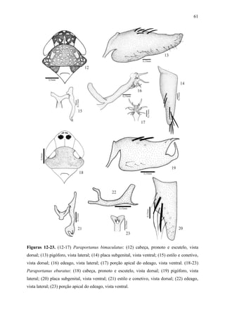 61




Figuras 12-23. (12-17) Paraportanus bimaculatus: (12) cabeça, pronoto e escutelo, vista
dorsal; (13) pigóforo, vista lateral; (14) placa subgenital, vista ventral; (15) estilo e conetivo,
vista dorsal; (16) edeago, vista lateral; (17) porção apical do edeago, vista ventral. (18-23)
Paraportanus eburatus: (18) cabeça, pronoto e escutelo, vista dorsal; (19) pigóforo, vista
lateral; (20) placa subgenital, vista ventral; (21) estilo e conetivo, vista dorsal; (22) edeago,
vista lateral; (23) porção apical do edeago, vista ventral.
 