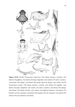 62




Figuras 24-39. (24-29) Paraportanus longicornis: (24) cabeça, pronoto e escutelo, vista
dorsal; (25) pigóforo, vista lateral; (26) placa subgenital, vista ventral; (27) estilo e conetivo,
vista dorsal; (28) edeago, vista lateral; (29) porção apical do edeago, vista ventral. (30-39)
Paraportanus elegans: (30) cabeça, pronoto e escutelo, vista dorsal; (31) pigóforo, vista
lateral; (32) placa subgenital, vista ventral; (33) estilo e conetivo, vista dorsal; (34) edeago,
vista lateral; (35) Sétimo Esterno, vista ventral; (36) pigóforo feminino, vista lateral; (37)
primeira valva do ovipositor, vista lateral; (38) segunda valva do ovipositor, vista lateral; (39)
terceira valva do ovipositor, vista lateral.
 