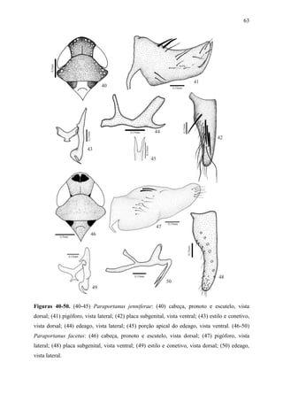 63




Figuras 40-50. (40-45) Paraportanus jenniferae: (40) cabeça, pronoto e escutelo, vista
dorsal; (41) pigóforo, vista lateral; (42) placa subgenital, vista ventral; (43) estilo e conetivo,
vista dorsal; (44) edeago, vista lateral; (45) porção apical do edeago, vista ventral. (46-50)
Paraportanus facetus: (46) cabeça, pronoto e escutelo, vista dorsal; (47) pigóforo, vista
lateral; (48) placa subgenital, vista ventral; (49) estilo e conetivo, vista dorsal; (50) edeago,
vista lateral.
 