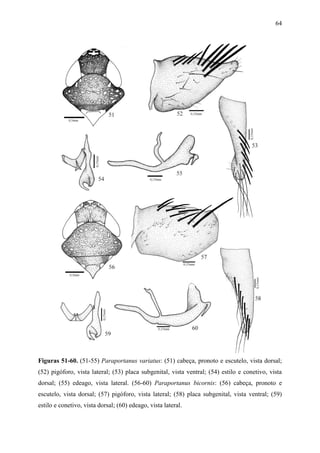 64




Figuras 51-60. (51-55) Paraportanus variatus: (51) cabeça, pronoto e escutelo, vista dorsal;
(52) pigóforo, vista lateral; (53) placa subgenital, vista ventral; (54) estilo e conetivo, vista
dorsal; (55) edeago, vista lateral. (56-60) Paraportanus bicornis: (56) cabeça, pronoto e
escutelo, vista dorsal; (57) pigóforo, vista lateral; (58) placa subgenital, vista ventral; (59)
estilo e conetivo, vista dorsal; (60) edeago, vista lateral.
 
