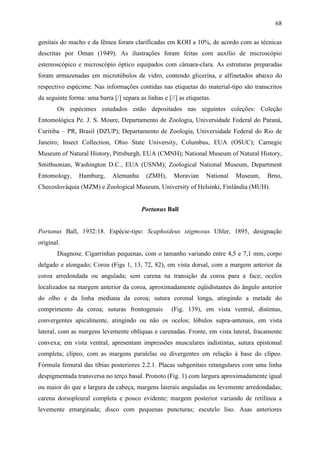 68

genitais do macho e da fêmea foram clarificadas em KOH a 10%, de acordo com as técnicas
descritas por Oman (1949). As ilustrações foram feitas com auxílio de microscópio
estereoscópico e microscópio óptico equipados com câmara-clara. As estruturas preparadas
foram armazenadas em microtúbulos de vidro, contendo glicerina, e alfinetados abaixo do
respectivo espécime. Nas informações contidas nas etiquetas do material-tipo são transcritos
da seguinte forma: uma barra [/] separa as linhas e [//] as etiquetas.
       Os espécimes estudados estão depositados nas seguintes coleções: Coleção
Entomológica Pe. J. S. Moure, Departamento de Zoologia, Universidade Federal do Paraná,
Curitiba – PR, Brasil (DZUP); Departamento de Zoologia, Universidade Federal do Rio de
Janeiro; Insect Collection, Ohio State University, Columbus, EUA (OSUC); Carnegie
Museum of Natural History, Pittsburgh, EUA (CMNH); National Museum of Natural History,
Smithsonian, Washington D.C., EUA (USNM); Zoological National Museum, Department
Entomology,     Hamburg,      Alemanha     (ZMH),      Moravian     National   Museum,   Brno,
Checoslováquia (MZM) e Zoological Museum, University of Helsinki, Finlândia (MUH).


                                         Portanus Ball


Portanus Ball, 1932:18. Espécie-tipo: Scaphoideus stigmosus Uhler, 1895, designação
original.
       Diagnose. Cigarrinhas pequenas, com o tamanho variando entre 4,5 e 7,1 mm, corpo
delgado e alongado; Coroa (Figs 1, 13, 72, 82), em vista dorsal, com a margem anterior da
coroa arredondada ou angulada; sem carena na transição da coroa para a face; ocelos
localizados na margem anterior da coroa, aproximadamente eqüidistantes do ângulo anterior
do olho e da linha mediana da coroa; sutura coronal longa, atingindo a metade do
comprimento da coroa; suturas frontogenais            (Fig. 139), em vista ventral, distintas,
convergentes apicalmente, atingindo ou não os ocelos; lóbulos supra-antenais, em vista
lateral, com as margens levemente oblíquas e carenadas. Fronte, em vista lateral, fracamente
convexa; em vista ventral, apresentam impressões musculares indistintas, sutura epistomal
completa; clípeo, com as margens paralelas ou divergentes em relação à base do clípeo.
Fórmula femural das tíbias posteriores 2.2.1. Placas subgenitais retangulares com uma linha
despigmentada transversa no terço basal. Pronoto (Fig. 1) com largura aproximadamente igual
ou maior do que a largura da cabeça, margens laterais anguladas ou levemente arredondadas;
carena dorsopleural completa e pouco evidente; margem posterior variando de retilínea a
levemente emarginada; disco com pequenas puncturas; escutelo liso. Asas anteriores
 