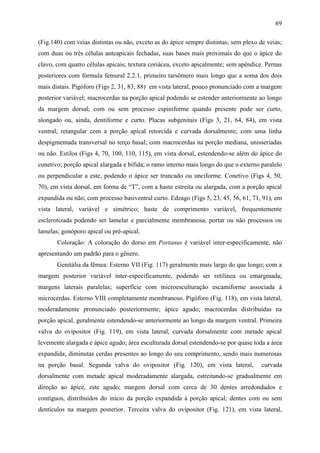 69

(Fig.140) com veias distintas ou não, exceto as do ápice sempre distintas; sem plexo de veias;
com duas ou três células anteapicais fechadas, suas bases mais proximais do que o ápice do
clavo, com quatro células apicais; textura coriácea, exceto apicalmente; sem apêndice. Pernas
posteriores com fórmula femural 2.2.1, primeiro tarsômero mais longo que a soma dos dois
mais distais. Pigóforo (Figs 2, 31, 83, 88) em vista lateral, pouco pronunciado com a margem
posterior variável; macrocerdas na porção apical podendo se estender anteriormente ao longo
da margem dorsal; com ou sem processo espiniforme quando presente pode ser curto,
alongado ou, ainda, dentiforme e curto. Placas subgenitais (Figs 3, 21, 64, 84), em vista
ventral, retangular com a porção apical retorcida e curvada dorsalmente; com uma linha
despigmentada transversal no terço basal; com macrocerdas na porção mediana, unisseriadas
ou não. Estilos (Figs 4, 70, 100, 110, 115), em vista dorsal, estendendo-se além do ápice do
conetivo; porção apical alargada e bífida; o ramo interno mais longo do que o externo paralelo
ou perpendicular a este, podendo o ápice ser truncado ou unciforme. Conetivo (Figs 4, 50,
70), em vista dorsal, em forma de “T”, com a haste estreita ou alargada, com a porção apical
expandida ou não; com processo basiventral curto. Edeago (Figs 5, 23, 45, 56, 61, 71, 91), em
vista lateral, variável e simétrico; haste de comprimento variável, frequentemente
esclerotizada podendo ser lamelar e parcialmente membranosa, portar ou não processos ou
lamelas; gonóporo apical ou pré-apical.
       Coloração: A coloração do dorso em Portanus é variável inter-específicamente, não
apresentando um padrão para o gênero.
       Genitália da fêmea: Esterno VII (Fig. 117) geralmente mais largo do que longo; com a
margem posterior variável inter-especificamente, podendo ser retilínea ou emarginada;
margens laterais paralelas; superfície com microesculturação escamiforme associada à
microcerdas. Esterno VIII completamente membranoso. Pigóforo (Fig. 118), em vista lateral,
moderadamente pronunciado posteriormente; ápice agudo; macrocerdas distribuídas na
porção apical, geralmente estendendo-se anteriormente ao longo da margem ventral. Primeira
valva do ovipositor (Fig. 119), em vista lateral, curvada dorsalmente com metade apical
levemente alargada e ápice agudo; área esculturada dorsal estendendo-se por quase toda a área
expandida; diminutas cerdas presentes ao longo do seu comprimento, sendo mais numerosas
na porção basal. Segunda valva do ovipositor (Fig. 120), em vista lateral,            curvada
dorsalmente com metade apical moderadamente alargada, estreitando-se gradualmente em
direção ao ápice, este agudo; margem dorsal com cerca de 30 dentes arredondados e
contíguos, distribuídos do início da porção expandida à porção apical; dentes com ou sem
dentículos na margem posterior. Terceira valva do ovipositor (Fig. 121), em vista lateral,
 