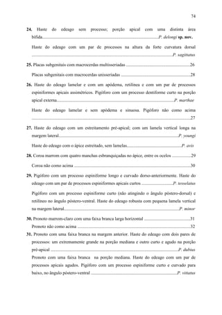 74

24.    Haste        do      edeago          sem        processo;          porção         apical       com        uma        distinta        área
   bífida........................................................................................................P. delongi sp. nov.

   Haste do edeago com um par de processos na altura da forte curvatura dorsal
   ..............................................................................................................................P. sagittatus

25. Placas subgenitais com macrocerdas multisseriadas .........................................................26

   Placas subgenitais com macrocerdas unisseriadas ..............................................................28

26. Haste do edeago lamelar e com um apódema, retilínea e com um par de processos
   espiniformes apicais assimétricos. Pigóforo com um processo dentiforme curto na porção
   apical externa.........................................................................................................P. marthae

   Haste do edeago lamelar e sem apódema e sinuosa. Pigóforo não como acima
   ..............................................................................................................................................27

27. Haste do edeago com um estreitamento pré-apical; com um lamela vertical longa na
   margem lateral...........................................................................................................P. youngi

   Haste do edeago com o ápice estreitado, sem lamelas.................................................P. avis

28. Coroa marrom com quatro manchas esbranquiçadas no ápice, entre os ocelos .................29

   Coroa não como acima ........................................................................................................30

29. Pigóforo com um processo espiniforme longo e curvado dorso-anteriormente. Haste do
   edeago com um par de processos espiniformes apicais curtos ............................P. tesselatus

   Pigóforo com um processo espiniforme curto (não atingindo o ângulo póstero-dorsal) e
   retilíneo no ângulo póstero-ventral. Haste do edeago robusta com pequena lamela vertical
   na margem lateral.......................................................................................................P. minor

30. Pronoto marrom-claro com uma faixa branca larga horizontal .........................................31
   Pronoto não como acima .....................................................................................................32
31. Pronoto com uma faixa branca na margem anterior. Haste do edeago com dois pares de
   processos: um extremamente grande na porção mediana e outro curto e agudo na porção
   pré-apical ..................................................................................................................P. dubius
   Pronoto com uma faixa branca na porção mediana. Haste do edeago com um par de
   processos apicais agudos. Pigóforo com um processo espiniforme curto e curvado para
   baixo, no ângulo póstero-ventral .............................................................................P. vittatus
 
