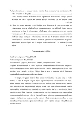 75

32. Pronoto variando de amarelo-escuro a marrom-claro, com numerosas manchas amarelo-
  palha circulares ou alongadas ..............................................................................................33
  Tórax, pronoto variando de marrom-escuro a preto com duas manchas laranjas grandes,
  próximos dos olhos, seguida por mancha pequena da mesma cor, na margem lateral
  ..................................................................................................................................P. aliceae
32. Haste do edeago alongada e subcilíndrica, com dois pares de processos apicais, um
  extremamente longo e voltado póstero-ventralmente; com par adicional, ligado por área
  membranosa na base do primeiro par, voltado para baixo. Asas anteriores com mancha
  branca grande no clavo..........................................................................................P. ocellatus
  Haste do edeago alongada e subcilíndrica, com um par de processos apicais curtos em
  forma de um “U” invertido. Em vista posterior, apresenta-se triangularmente alargados e
  obtusamente projetados para baixo; margens laterais serrilhadas; Asa anterior não como
  acima .........................................................................................................................P. uhleri


                                                Portanus stigmosus (Uhler)


Scaphoideus stigmosus Uhler, 1895: 77.
Portanus stigmosus; Ball, 1932:18.
Holótipo fêmea. (segundo , Linnavuori, 1959:47), comprimento total 5,0mm.
Diagnose. Margem anterior da cabeça angulada; comprimento mediano da coroa atingindo a
metade da largura da cabeça; sutura coronal distinta. Pronoto mais largo que a cabeça. Asas
anteriores com venação evidente. Sétimo Esterno com a margem apical fortemente
emarginada, formando uma reentrância profunda.

        Coloração. No geral, marrom-clara. Coroa marrom-clara, com uma série de pontos
marrons ao redor da margem e alguns menos regulares no meio, ocasionalmente com 2 ou 3
pontos brancos antes do meio. Face manchada com marrom-clara, marcada acima por uma
linha marrom-escura, irregularmente delgada; clípeo com uma mancha marrom. Pronoto
marrom-claro, minuciosamente manchado de amarelo-palha. Escutelo com ângulos basais
marrom-escuros; disco com uma pequena mancha marrom. Asas anteriores marrom-claras
com uma mancha branca nas veias do clavo; cório com veias marrons manchadas de branco;
margem costal com uma série de manchas brancas; células apicais com áreas claras na base,
marcadas por veias marrons; ápice marrom fosco. Ventre e pernas amarelo-palha; tíbias com
manchas marrons.
 