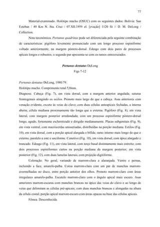 77

       Material-examinado. Holótipo macho (OSUC) com os seguintes dados: Bolívia: San
Esteban / 49 Km N. Sta. Cruz / 07.XII.1959 el. [evação] 1120 fit // D. M. DeLong /
Collection.
       Nota taxonômica. Portanus quadrinus pode ser diferenciada pela seguinte combinação
de características: pigóforo levemente pronunciado com um longo processo espiniforme
voltado anteriormente, na margem póstero-dorsal. Edeago com dois pares de processos
apicais longos e robustos; o segundo par apresenta-se com os ramos entrecruzados.


                                 Portanus dentatus DeLong
                                          Figs 7-12


Portanus dentatus DeLong, 1980:79.
Holótipo macho. Comprimento total 5,0mm.
Diagnose. Cabeça (Fig. 7), em vista dorsal, com a margem anterior angulada; suturas
frontogenais atingindo os ocelos. Pronoto mais largo do que a cabeça. Asas anteriores com
venação evidente, exceto às veias do clavo; com duas células anteapicais fechadas, a interna
aberta; célula mediana proximamente tão longa que a externa. Pigóforo (Fig. 8), em vista
lateral, com margem posterior arredondada; com um processo espiniforme póstero-dorsal
longo, agudo, fortemente esclerotizado e dirigido medianamente. Placas subgenitais (Fig. 9),
em vista ventral, com macrocerdas unisseriadas, distribuídas na porção mediana. Estilos (Fig.
10), em vista dorsal, com a porção apical alargada e bífida; ramo interno mais longo do que o
externo, paralelo a este e unciforme. Conetivo (Fig. 10), em vista dorsal, com ápice alargado e
truncado. Edeago (Fig. 11), em vista lateral, com terço basal distintamente mais estreito; com
dois processos espiniformes curtos na porção mediana da margem posterior; em vista
posterior (Fig. 12), com duas lamelas laterais, com projeção digitiforme.
       Coloração. No geral, variando de marrom-clara a alaranjada. Ventre e pernas,
incluindo a face, amarelo-palha. Coroa marrom-clara com um par de manchas marrom-
avermelhadas no disco, entre porção anterior dos olhos. Pronoto marrom-claro com áreas
irregulares amarelo-palha. Escutelo marrom-claro com o ângulo apical mais escuro. Asas
anteriores marrom-escuras com manchas brancas no ápice das veias do clavo e ao longo de
veias que delimitam as células pré-apicais; com duas manchas brancas e alongadas na altura
da célula costal; porção apical marrom-escuro com áreas opacas na base das células apicais.
       Fêmea. Desconhecida.
 