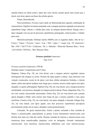 79

mancha branca na célula costal e ápice das veias clavais; porção apical mais escura que a
discal, com áreas opacas nas bases das células apicais.
       Fêmea. Desconhecida.
       Nota taxonômica. Portanus major pode ser diferenciada pela seguinte combinação de
características: Pigóforo levemente projetado com a margem posterior angulada com processo
espiniforme longo, robusto e voltado para cima, na margem póstero-dorsal; Edeago com o
ápice alargado com um par de processos espiniformes pontiagudos, entrecruzados e voltados
para cima.
       Material-examinado. Holótipo macho (MZM) com os seguintes dados: Alto de La /
Cruces // Typus // Portanus / major / n.sp. // Hol- / typus ♂ / majpr n.sp. / R. Linnavuori /
Det. 1959 // k2C177-20 // Collection / Dr. L. Melichar / Moravské Museum Brno // Invet.
`c(5114-854) / 5629-Ent. / Mor. Museum, Brno.


                                Portanus spiniloba Linnavuori
                                          Figs 19-23


Portanus spiniloba Linnavuori, 1959:46.
Holótipo macho. Comprimento total 5,3mm.
Diagnose. Cabeça (Fig. 19), em vista dorsal, com a margem anterior angulada; suturas
frontogenais não atingem os ocelos. Pronoto tão largo quanto a cabeça. Asas anteriores com
venação evanescente, exceto às do ápice; com duas células anteapicais fechadas, a interna
aberta; célula ante-apical mediana mais longa que a externa; terceira célula apical com ápice
alargado e a quarta subtriangular. Pigóforo (Fig. 20), em vista lateral, com a margem posterior
arredondada; com processo alongado na margem póstero-dorsal. Placas subgenitais (Fig. 21),
em vista ventral, macrocerdas unisseriadas. Estilos (Fig. 22), em vista dorsal com a porção
apical alargada e bífida; ramo interno mais longo do que o externo, paralelo a este; ápice
unciforme. Conetivo (Fig. 22), em vista dorsal, com ápice alargado e truncado. Edeago (Fig.
23), em vista lateral, com ápice agudo; com dois processos espiniformes pré-apicais
proximamente unidos um ao outro e dirigidos ventro-posteriormente.
       Coloração. No geral, marrom-clara. Ventre e pernas, incluindo a face variando de
branco a amarelo-palha, especialmente as pernas. Coroa inteiramente marrom-clara com
distinta área clara em volta dos ocelos. Pronoto variando de marrom a marrom-escuro com
numerosas áreas amarelo-palha, pequenas, ovais ou alongadas. Escutelo inteiramente
marrom-claro. Asas anteriores, marrom-claras subhialinas com veias marrom-escuras,
 
