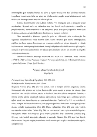 80

interrompidas por manchas brancas no clavo e região discal; com duas distintas manchas
irregulares branco-amarelada, na altura da célula costal; porção apical distintamente mais
escura com áreas opacas na base das células apicais.
       Fêmea. Comprimento total 5,2mm. Esterno VII retangular com a margem apical
arredondada. Segunda valva do ovipositor, em vista lateral, moderadamente expandida na
porção mediana; haste estreitando-se em direção ao ápice, este agudo; superfície dorsal com
26 dentes contíguos, arredondados com dentículos na margem posterior.
       Nota taxonômica. Portanus spiniloba pode ser diferencia pela combinação das
seguintes características: coroa marrom-claro; ocelos envoltos por aréola esbranquiçada;
pigóforo tão largo quanto longo com um processo espiniforme interno alongado e voltado
medianamente, na margem póstero-dorsal; edeago delgado e subcilíndrico com o ápice agudo;
com par de processos espiniformes pré-apicais proximamente unidos um ao outro e dirigidos
ventro-posteriormente.
       Material-examinado. Holótipo macho (MUH): 26/04/1938 / Brazilien / Nova Teutônia
/ 27º11`B 52º23`L / Fritz Plaumann // typus // Portanus spiniloba n. sp. // Holotype / Portanus
/ spiniloba Linnav. // Mus. Zool. Helsinki.


                           Portanus telmae Carvalho & Cavichioli
                                          Figs 24-29


Portanus telmae Carvalho & Cavichioli, 2001:856-858.
Holótipo macho. Comprimento total 5,0mm.
Diagnose. Cabeça (Fig. 24), em vista dorsal, com a margem anterior angulada; suturas
frontogenais não atingem os ocelos. Pronoto tão largo quanto a largura da cabeça. Asas
anteriores com venação evidente, exceto às do clavo; com duas células anteapicais fechadas, a
interna aberta; célula anteapical mediana apresenta-se mais longa que a externa; terceira
célula apical com ápice alargado, e a quarta subtriangular. Pigóforo (Fig. 25), em vista lateral,
com a margem posterior arredondada; com pequeno processo dentiforme na margem póstero-
dorsal, voltado medianamente (Fig. 26). Placas subgenitais (Fig. 27), em vista ventral,
macrocerdas unisseriadas. Estilos (Fig. 28), em vista ventral, com a porção apical alargada e
bífida; ramo interno mais longo do que o externo, paralelo a este e unciforme. Conetivo (Fig.
28), em vista ventral, com ápice alargado e truncado. Edeago (Fig. 29), em vista lateral,
distintamente alargado na porção mediana, estreitando-se para o ápice, este fortemente agudo;
sem processos.
 