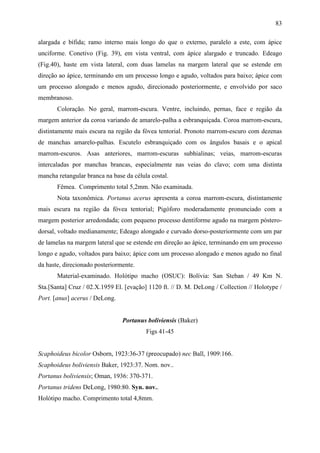 83

alargada e bífida; ramo interno mais longo do que o externo, paralelo a este, com ápice
unciforme. Conetivo (Fig. 39), em vista ventral, com ápice alargado e truncado. Edeago
(Fig.40), haste em vista lateral, com duas lamelas na margem lateral que se estende em
direção ao ápice, terminando em um processo longo e agudo, voltados para baixo; ápice com
um processo alongado e menos agudo, direcionado posteriormente, e envolvido por saco
membranoso.
       Coloração. No geral, marrom-escura. Ventre, incluindo, pernas, face e região da
margem anterior da coroa variando de amarelo-palha a esbranquiçada. Coroa marrom-escura,
distintamente mais escura na região da fóvea tentorial. Pronoto marrom-escuro com dezenas
de manchas amarelo-palhas. Escutelo esbranquiçado com os ângulos basais e o apical
marrom-escuros. Asas anteriores, marrom-escuras subhialinas; veias, marrom-escuras
intercaladas por manchas brancas, especialmente nas veias do clavo; com uma distinta
mancha retangular branca na base da célula costal.
       Fêmea. Comprimento total 5,2mm. Não examinada.
       Nota taxonômica. Portanus acerus apresenta a coroa marrom-escura, distintamente
mais escura na região da fóvea tentorial; Pigóforo moderadamente pronunciado com a
margem posterior arredondada; com pequeno processo dentiforme agudo na margem póstero-
dorsal, voltado medianamente; Edeago alongado e curvado dorso-posteriormente com um par
de lamelas na margem lateral que se estende em direção ao ápice, terminando em um processo
longo e agudo, voltados para baixo; ápice com um processo alongado e menos agudo no final
da haste, direcionado posteriormente.
       Material-examinado. Holótipo macho (OSUC): Bolívia: San Steban / 49 Km N.
Sta.[Santa] Cruz / 02.X.1959 El. [evação] 1120 ft. // D. M. DeLong / Collection // Holotype /
Port. [anus] acerus / DeLong.


                                Portanus boliviensis (Baker)
                                         Figs 41-45


Scaphoideus bicolor Osborn, 1923:36-37 (preocupado) nec Ball, 1909:166.
Scaphoideus boliviensis Baker, 1923:37. Nom. nov..
Portanus boliviensis; Oman, 1936: 370-371.
Portanus tridens DeLong, 1980:80. Syn. nov..
Holótipo macho. Comprimento total 4,8mm.
 