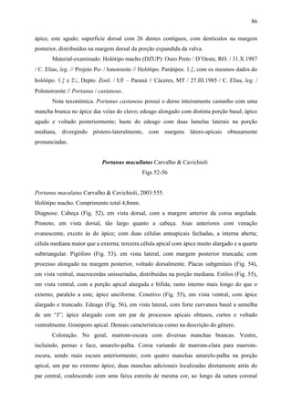86

ápice, este agudo; superfície dorsal com 26 dentes contíguos, com dentículos na margem
posterior, distribuídos na margem dorsal da porção expandida da valva.
       Material-examinado. Holótipo macho (DZUP): Ouro Preto / D’Oeste, RO. / 31.X.1987
/ C. Elias, leg. // Projeto Po- / lonoroeste // Holótipo. Parátipos. 1♂, com os mesmos dados do
holótipo. 1♂ e 2♀, Depto. Zool. / UF – Paraná // Cáceres, MT / 27.III.1985 / C. Elias, leg. /
Polonoroeste // Portanus / castaneus.
       Nota taxonômica. Portanus castaneus possui o dorso inteiramente castanho com uma
mancha branca no ápice das veias do clavo; edeago alongado com distinta porção basal; ápice
agudo e voltado posteriormente; haste do edeago com duas lamelas laterais na porção
mediana, divergindo póstero-lateralmente, com margens látero-apicais obtusamente
pronunciadas.


                            Portanus macullatus Carvalho & Cavichioli
                                             Figs 52-56


Portanus maculatus Carvalho & Cavichioli, 2003:555.
Holótipo macho. Comprimento total 4,8mm.
Diagnose. Cabeça (Fig. 52), em vista dorsal, com a margem anterior da coroa angulada.
Pronoto, em vista dorsal, tão largo quanto a cabeça. Asas anteriores com venação
evanescente, exceto às do ápice; com duas células anteapicais fechadas, a interna aberta;
célula mediana maior que a externa; terceira célula apical com ápice muito alargado e a quarta
subtriangular. Pigóforo (Fig. 53), em vista lateral, com margem posterior truncada; com
processo alongado na margem posterior, voltado dorsalmente. Placas subgenitais (Fig. 54),
em vista ventral, macrocerdas unisseriadas, distribuídas na porção mediana. Estilos (Fig. 55),
em vista ventral, com a porção apical alargada e bífida; ramo interno mais longo do que o
externo, paralelo a este; ápice unciforme. Conetivo (Fig. 55), em vista ventral, com ápice
alargado e truncado. Edeago (Fig. 56), em vista lateral, com forte curvatura basal a semelha
de um “J”; ápice alargado com um par de processos apicais obtusos, curtos e voltado
ventralmente. Gonóporo apical. Demais características como na descrição do gênero.
       Coloração. No geral, marrom-escura com diversas manchas brancas. Ventre,
incluindo, pernas e face, amarelo-palha. Coroa variando de marrom-clara para marrom-
escura, sendo mais escura anteriormente; com quatro manchas amarelo-palha na porção
apical, um par no extremo ápice; duas manchas adicionais localizadas diretamente atrás do
par central, coalescendo com uma faixa estreita de mesma cor, ao longo da sutura coronal
 