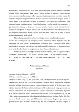 87

(total quatro); região discal com áreas claras próximas do olho; margem posterior com faixa
branca. Ocelos margeados por áreas claras. Pronoto variando de marrom a marrom-escuro
com numerosas manchas amarelo-palha pequenas, circulares ou ovais; com áreas brancas de
formatos irregulares na porção anterior do disco. Escutelo marrom com margens laterais e
ápice branco. Asas anteriores variando de marrons a marrom-escuros subhialinas; com
manchas brancas grandes no clavo; a mais basal maior e irregular seguida por outra menor e
proximamente circular, no ápice da veia anal anterior; veias do cório invariavelmente
manchadas com pontos ou bandas brancas; com uma distinta mancha branca na célula costal;
porção apical distintamente enegrecida, com áreas opacas ou translúcidas no ápice da célula
costa e base da quarta célula apical.
       Fêmea. Comprimento total 5,5mm. Morfologia externa semelhante à do macho.
Esterno VII quadrangular com margem posterior levemente obtusa. Segunda valva do
ovipositor, em vista lateral, moderadamente expandida após a curvatura basal; haste
estreitando-se levemente para o ápice, este agudo; superfície dorsal com 26 dentes contíguos
com dentículos, distribuídos na margem dorsal da porção expandida da valva.
       Material-examinado. Holótipo macho (DZUP) examinado, com os seguintes dados:
Holotypus // Morretes-PR / 22-29.X.1984 / Malaise Townes CIIF, leg..Parátipos: Ibidem, 1♂
e 1♀; Ibidem, 1♂, 29.X.1984. BR 277 Km 54(S. José dos Pinhais), 3♂ e 1♀, 26.XI.1984
(DZUP).


                                 Portanus linnavuorii Kramer
                                          Figs 57-62


Portanus linnavuorii Kramer, 1961:235.
Holótipo macho. Comprimento total 5,0mm.
Diagnose. Cabeça (Fig. 57), em vista dorsal, com a margem anterior da coroa angulada.
Pronoto mais largo do que a distância transocular; margens laterais arredondadas; margem
posterior retilínea. Asas anteriores com venação evanescente, exceto às do ápice, com duas
células anteapicais fechadas, a interna aberta; a célula mediana mais longa que a externa;
terceira célula apical com o ápice alargado e a quarta célula apical subtriangular. Pigóforo
(Fig.58), em vista lateral, com a margem posterior truncada. Placas subgenitais (Fig. 59), em
vista ventral, com macrocerdas unisseriadas, distribuídas na porção mediana. Estilos (Fig. 60),
em vista dorsal, com a porção apical bífida; ramo interno mais longo do que o externo,
paralelo a este; ápice unciforme. Conetivo (Fig. 60), em vista ventral, com ápice alargado e
 
