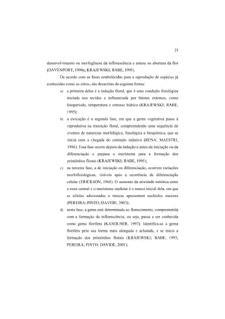 23 
desenvolvimento ou morfogênese da inflorescência e antese ou abertura da flor
(DAVENPORT, 1990a; KRAJEWSKI; RABE, 1995).
De acordo com as fases estabelecidas para a reprodução de espécies já
conhecidas como os citros, são desacritas da seguinte forma:
a) a primeira delas é a indução floral, que é uma condição fisiológica
iniciada nos tecidos e influenciada por fatores externos, como
fotoperíodo, temperatura e estresse hídrico (KRAJEWSKI; RABE,
1995);
b) a evocação é a segunda fase, em que a gema vegetativa passa à
reprodutiva na transição floral, compreendendo uma sequência de
eventos de naturezas morfológica, fisiológica e bioquímica, que se
inicia com a chegada do estímulo indutivo (RENA; MAESTRI,
1986). Essa fase ocorre depois da indução e antes da iniciação ou da
diferenciação e prepara o meristema para a formação dos
primórdios florais (KRAJEWSKI; RABE, 1995);
c) na terceira fase, a de iniciação ou diferenciação, ocorrem variações
morfofisiológicas, visíveis após a ocorrência da diferenciação
celular (ERICKSON, 1968). O aumento da atividade mitótica entre
a zona central e o meristema medular é o marco inicial dela, em que
as células adicionadas a túnicas apresentam nucléolos maiores
(PEREIRA; PINTO; DAVIDE, 2003);
d) nesta fase, a gema está determinada ao florescimento, comprometida
com a formação da inflorescência, ou seja, passa a ser conhecida
como gema florífera (KANDUSER, 1997). Identifica-se a gema
florífera pela sua forma mais alongada e achatada, e se inícia a
formação dos primórdios florais (KRAJEWSKI; RABE, 1995;
PEREIRA; PINTO; DAVIDE, 2003);
 