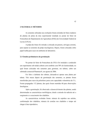 42 
2 MATERIAL E MÉTODOS
As sementes utilizadas nas avaliações foram extraídas de frutos maduros
de plantas de pitaia da área experimental instalada no pomar do Setor de
Fruticultura do Departamento de Agricultura (DAG) da Universidade Federal de
Lavras (UFLA).
A polpa dos frutos foi retirada e colocada em peneira, sob água corrente,
para separar as sementes da polpa mucilaginosa. Depois, foram colocadas sobre
papel toalha para secar em ambiente de laboratório.
2.1 Estudos preliminares da germinação
No pomar do Setor de Fruticultura da UFLA foi instalado e conduzido
um experimento sob telado coberto com sombrite com 50% de luminosidade, no
qual foram colocadas três sementes para germinar, em tubetes, sobre um
substrado comercial Plantmax®, em agosto de 2006.
Foi feito o desbaste dos tubetes, deixando-se apenas uma planta por
tubete. Três meses depois da germinação das sementes, as plantas foram
transferidas para sacos de polietileno preto com capacidade volumétrica de 5 L.
Foram propagadas 112 plantas, das quais foram mantidas 60 para observações
fenológicas.
Após a germinação, foi observado o desenvolvimento das plantas, sendo
determinadas as características morfológicas, desde a emissão da radícula até o
surgimento e o crescimento dos cladódios.
As características avaliadas foram: número de espinhos nas aréolas,
conformação dos cladódios, número de costelas nos cladódios e tempo até
chegar à fase reprodutiva.
 