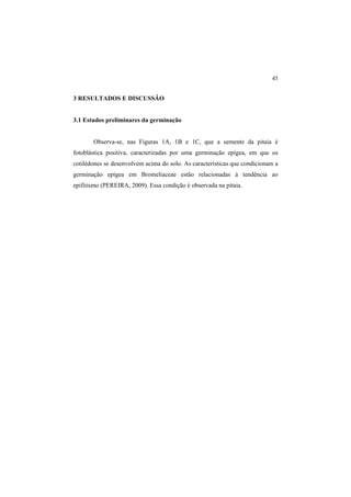 45 
3 RESULTADOS E DISCUSSÃO
3.1 Estudos preliminares da germinação
Observa-se, nas Figuras 1A, 1B e 1C, que a semente da pitaia é
fotoblástica positiva, caracterizadas por uma germinação epígea, em que os
cotilédones se desenvolvem acima do solo. As características que condicionam a
germinação epígea em Bromeliaceae estão relacionadas à tendência ao
epifitismo (PEREIRA, 2009). Essa condição é observada na pitaia.
 