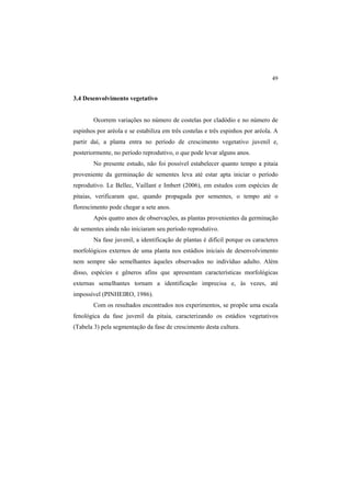 49 
3.4 Desenvolvimento vegetativo
Ocorrem variações no número de costelas por cladódio e no número de
espinhos por aréola e se estabiliza em três costelas e três espinhos por aréola. A
partir daí, a planta entra no período de crescimento vegetativo juvenil e,
posteriormente, no período reprodutivo, o que pode levar alguns anos.
No presente estudo, não foi possível estabelecer quanto tempo a pitaia
proveniente da germinação de sementes leva até estar apta iniciar o período
reprodutivo. Le Bellec, Vaillant e Imbert (2006), em estudos com espécies de
pitaias, verificaram que, quando propagada por sementes, o tempo até o
florescimento pode chegar a sete anos.
Após quatro anos de observações, as plantas provenientes da germinação
de sementes ainda não iniciaram seu período reprodutivo.
Na fase juvenil, a identificação de plantas é difícil porque os caracteres
morfológicos externos de uma planta nos estádios iniciais de desenvolvimento
nem sempre são semelhantes àqueles observados no indivíduo adulto. Além
disso, espécies e gêneros afins que apresentam características morfológicas
externas semelhantes tornam a identificação imprecisa e, às vezes, até
impossível (PINHEIRO, 1986).
Com os resultados encontrados nos experimentos, se propõe uma escala
fenológica da fase juvenil da pitaia, caracterizando os estádios vegetativos
(Tabela 3) pela segmentação da fase de crescimento desta cultura.
 