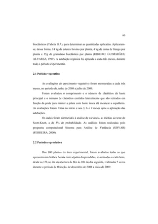 60
bioclásticos (Tabela 11A), para determinar as quantidades aplicadas. Aplicaram-
se, dessa forma, 14 kg de esterco bovino por planta, 4 kg de cama de frango por
planta e 35g de granulado bioclástico por planta (RIBEIRO; GUIMARÃES;
ALVAREZ, 1999). A adubação orgânica foi aplicada a cada três meses, durante
todo o período experimental.
2.1 Período vegetativo
As avaliações do crescimento vegetativo foram mensuradas a cada três
meses, no período de junho de 2008 a julho de 2009.
Foram avaliados o comprimento e o número de cladódios da haste
principal e o número de cladódios emitidos lateralmente que são retirados em
função da poda para manter a pitaia com haste única até alcançar a espaldeira.
As avaliações foram feitas no início e aos 3, 6 e 9 meses após a aplicação das
adubações.
Os dados foram submetidos à análise de variância, as médias ao teste de
Scott-Knott, a de 5% de probabilidade. As análises foram realizadas pelo
programa computacional Sistema para Análise de Variância (SISVAR)
(FERREIRA, 2000).
2.2 Período reprodutivo
Das 100 plantas da área experimental, foram avaliadas todas as que
apresentavam botões florais com sépalas desprendidas, examinadas a cada hora,
desde as 17h no dia da abertura da flor às 10h do dia seguinte, realizadas 5 vezes
durante o período de floração, de dezembro de 2008 a maio de 2009.
 