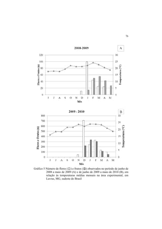 76
Gráfico 5 Número de flores ( ) e frutos ( ) observados no período de junho de
2008 a maio de 2009 (A) e de junho de 2009 a maio de 2010 (B), em
relação às temperaturas médias mensais na área experimental, em
Lavras, MG, sudeste do Brasil
 