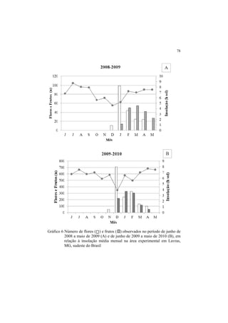 78
Gráfico 6 Número de flores ( ) e frutos ( ) observados no período de junho de
2008 a maio de 2009 (A) e de junho de 2009 a maio de 2010 (B), em
relação à insolação média mensal na área experimental em Lavras,
MG, sudeste do Brasil
 