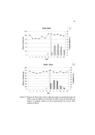80
Gráfico 7 Número de flores ( ) e frutos ( ) observados no período de junho de
2008 a maio de 2009 (A) e de junho de 2009 a maio de 2010 (B), em
relação à umidade relativa na área experimental em Lavras, MG,
sudeste do Brasil.
 